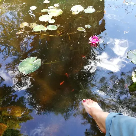 Moulin De Bed & Breakfast 3*